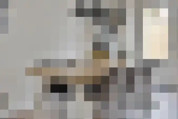Muntendamstraat 3 Tilburg thumbnail 14