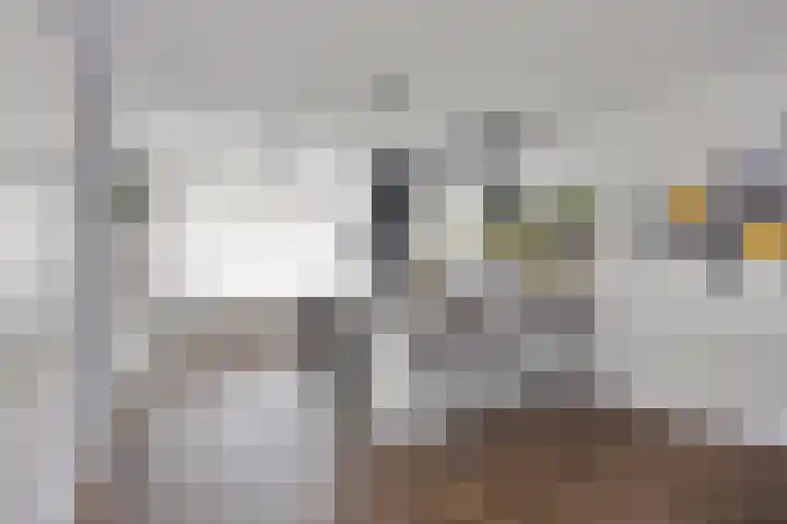 Muntendamstraat 3 Tilburg thumbnail 19