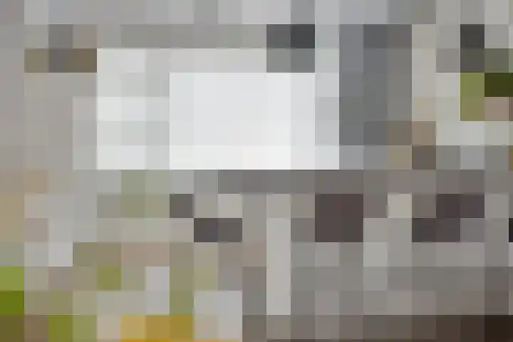 Muntendamstraat 3 Tilburg thumbnail 20