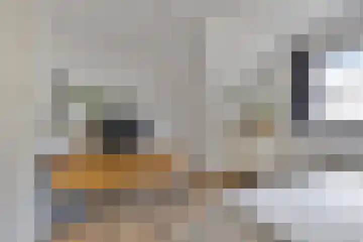 Muntendamstraat 3 Tilburg thumbnail 32