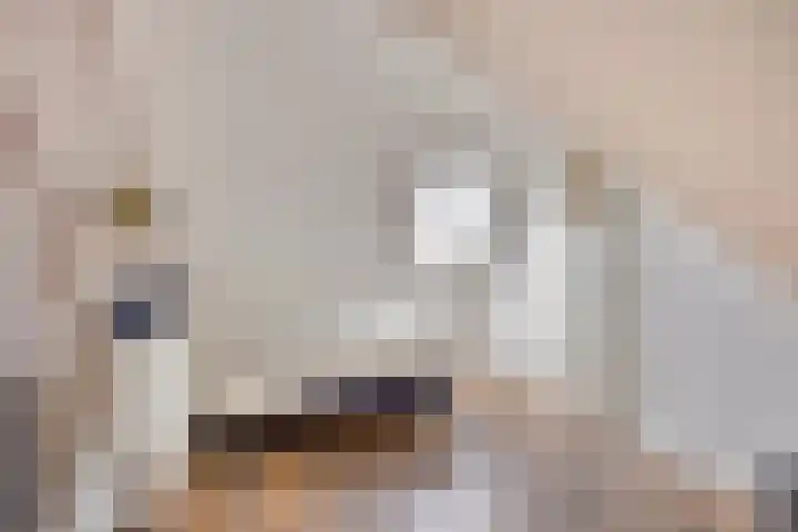 Muntendamstraat 3 Tilburg thumbnail 44