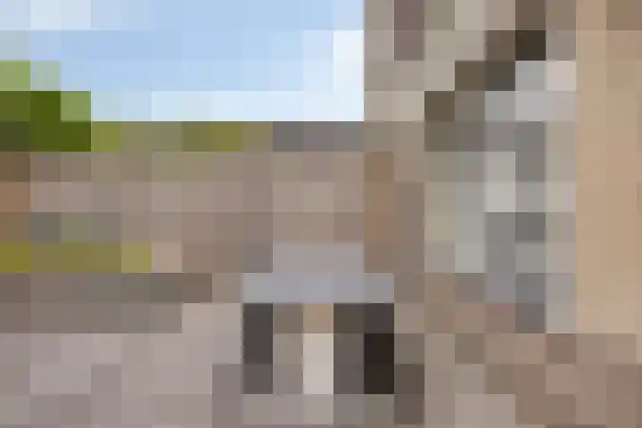 Muntendamstraat 3 Tilburg thumbnail 45