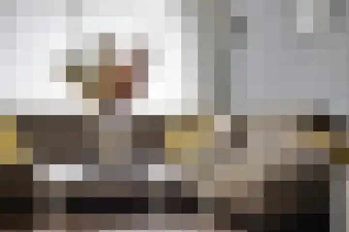 Muntendamstraat 3 Tilburg thumbnail 8