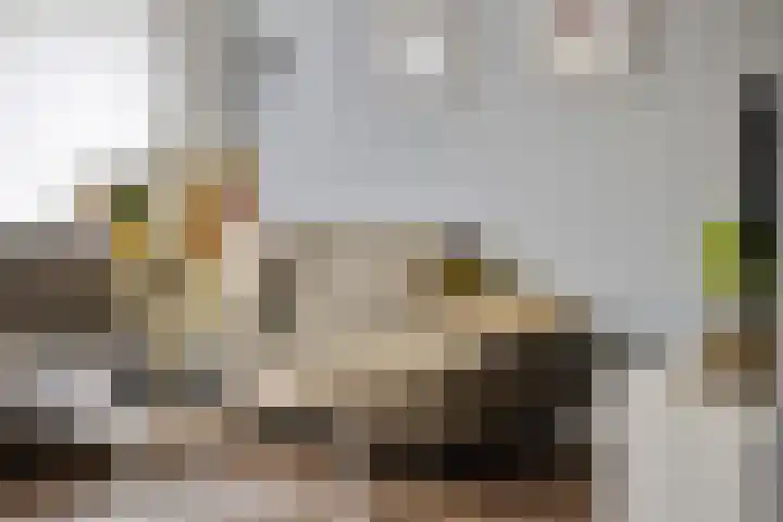 Muntendamstraat 3 Tilburg thumbnail 9