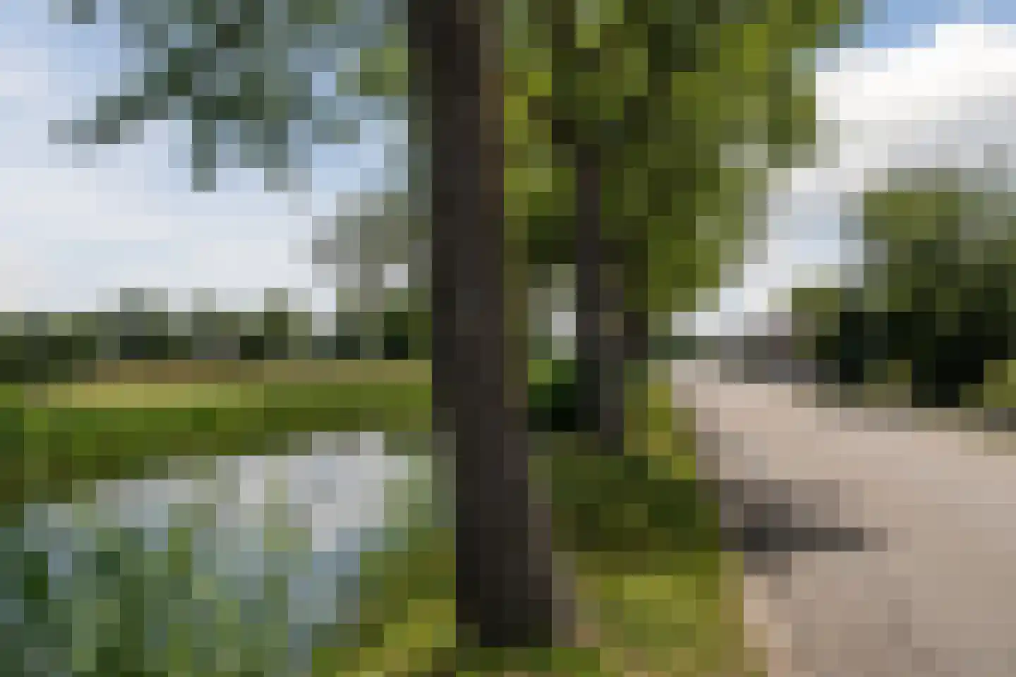 Muntenerf 3 Breezand thumbnail 44