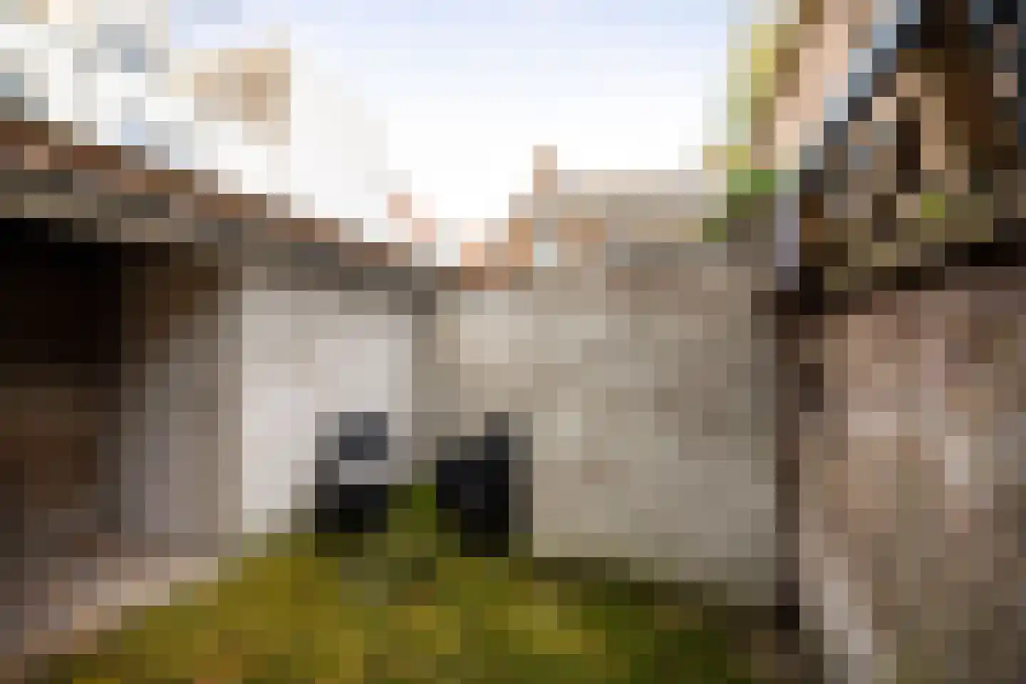 Muntengang 4 Deventer thumbnail 36