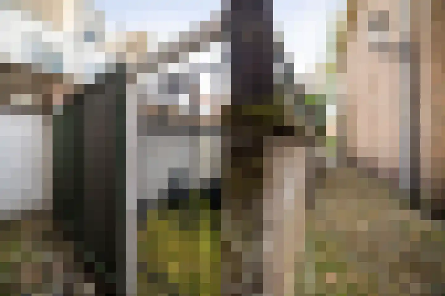 Muntengang 4 Deventer thumbnail 37