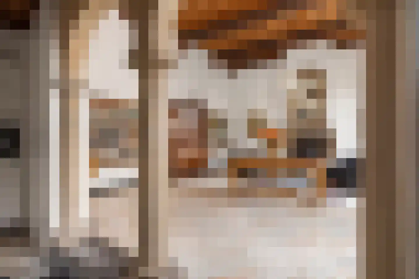 Muntengang 4 Deventer thumbnail 6