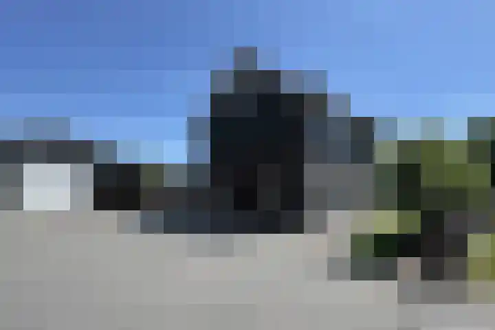 Munterij 9 Zevenbergen thumbnail 101