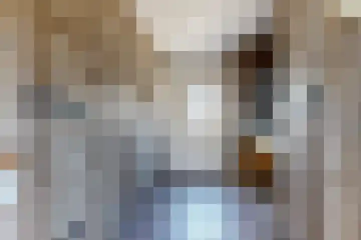 Munterij 9 Zevenbergen thumbnail 30