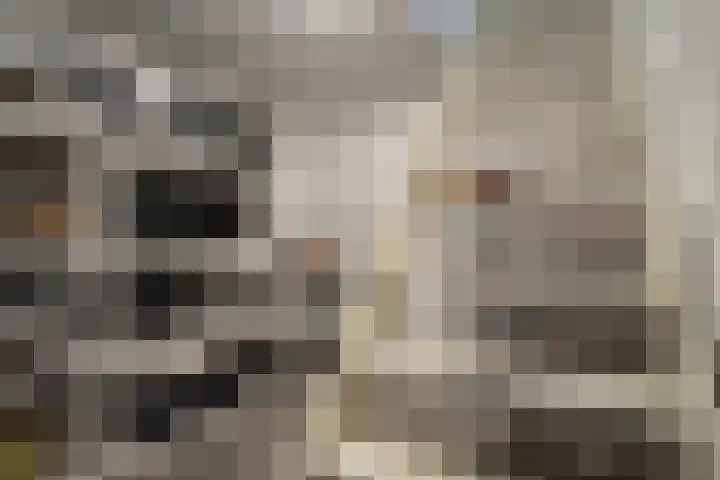 Munterij 9 Zevenbergen thumbnail 36