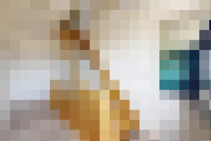 Munterij 9 Zevenbergen thumbnail 38