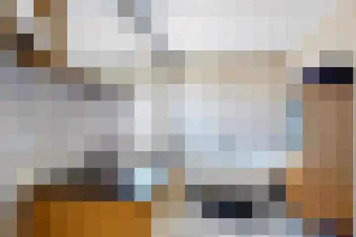 Munterij 9 Zevenbergen thumbnail 52