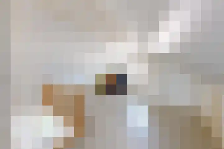 Munterij 9 Zevenbergen thumbnail 55