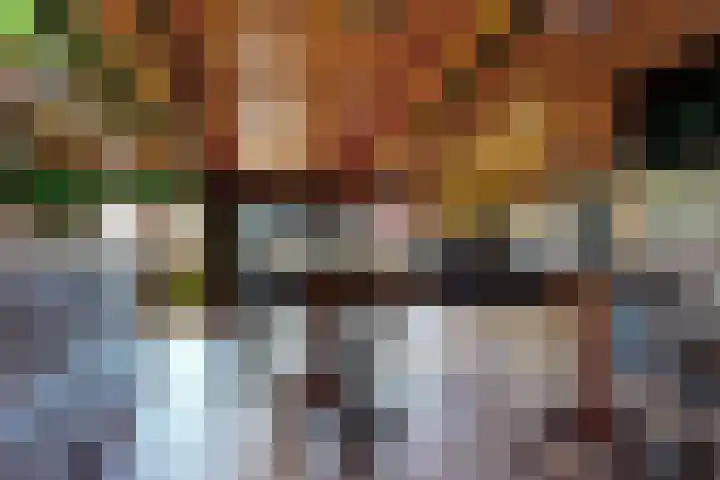 Munterij 9 Zevenbergen thumbnail 69