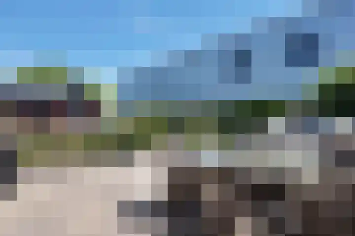 Munterij 9 Zevenbergen thumbnail 87