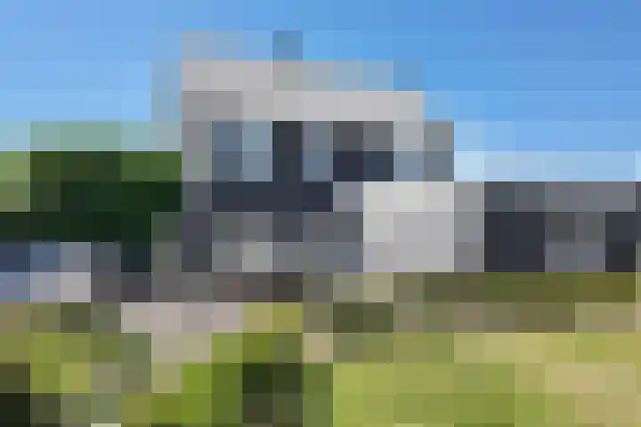 Munterij 9 Zevenbergen thumbnail 99