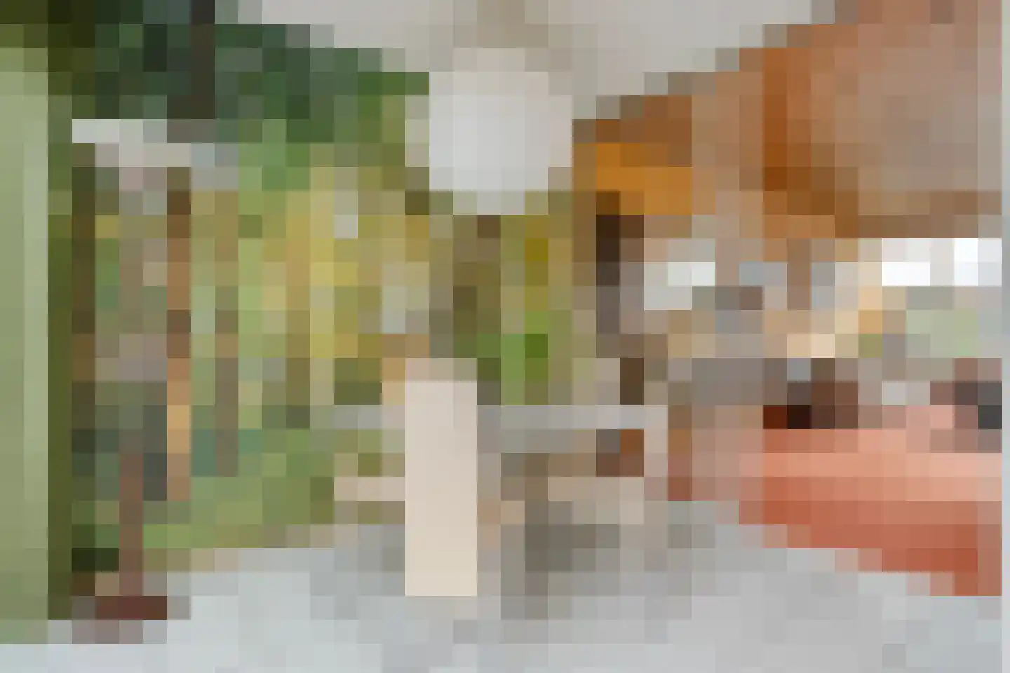 Munterkamp 13 Zwolle thumbnail 17