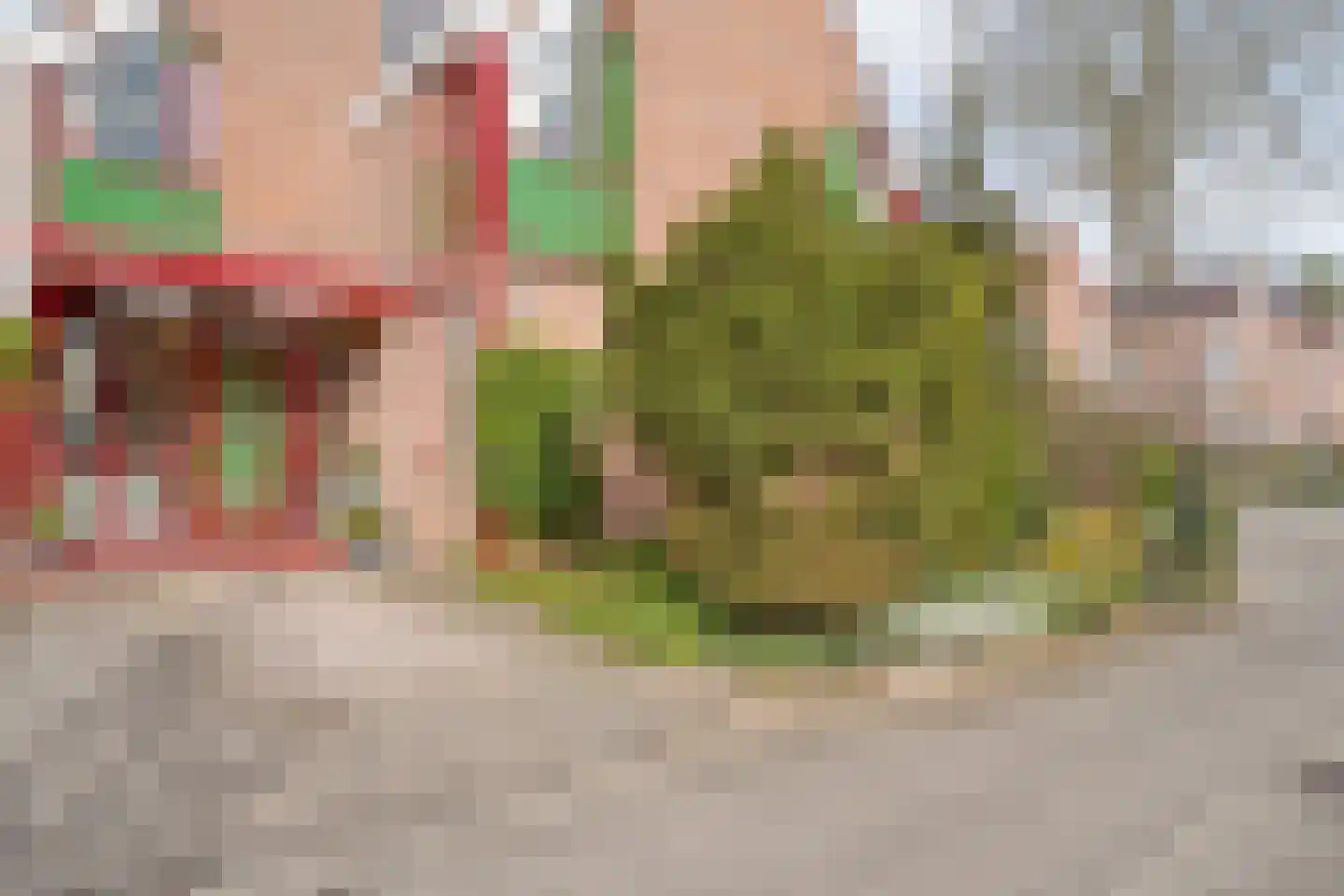 Munterkamp 13 Zwolle thumbnail 7
