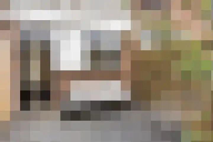 Munterkamp 45 Zwolle thumbnail 12