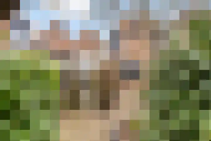 Munterkamp 45 Zwolle thumbnail 13
