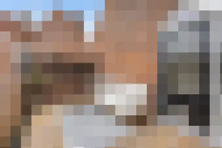 Munterkamp 45 Zwolle thumbnail 27