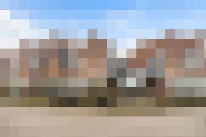 Munterkamp 45 Zwolle thumbnail 28