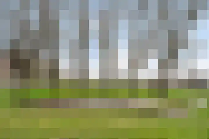 Munterkamp 45 Zwolle thumbnail 29