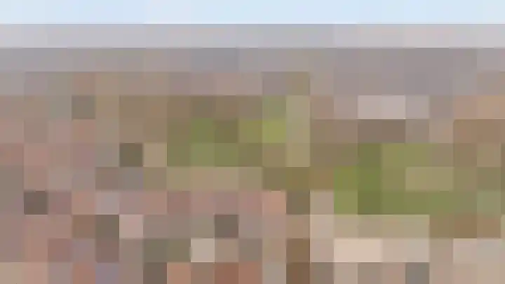 Munterkamp 45 Zwolle thumbnail 33
