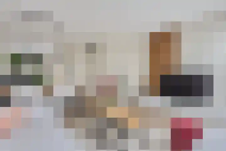 Munterkamp 45 Zwolle thumbnail 5