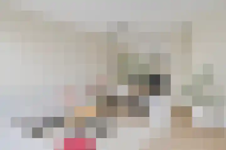 Munterkamp 45 Zwolle thumbnail 6