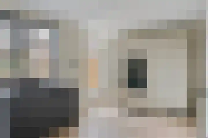 Munterkamp 45 Zwolle thumbnail 7