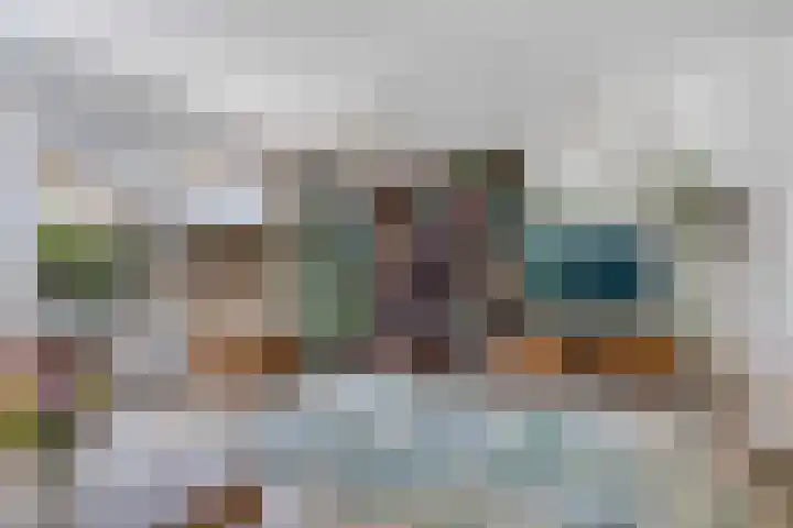Muntersdonk 8 Apeldoorn thumbnail 11