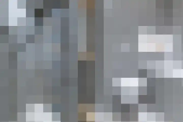 Muntersdonk 8 Apeldoorn thumbnail 20