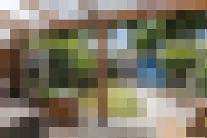 Muntersdonk 8 Apeldoorn thumbnail 28