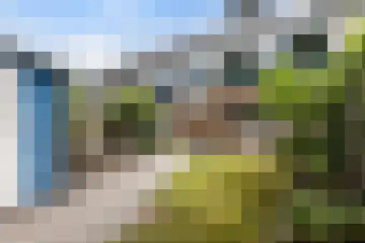 Muntersdonk 8 Apeldoorn thumbnail 30