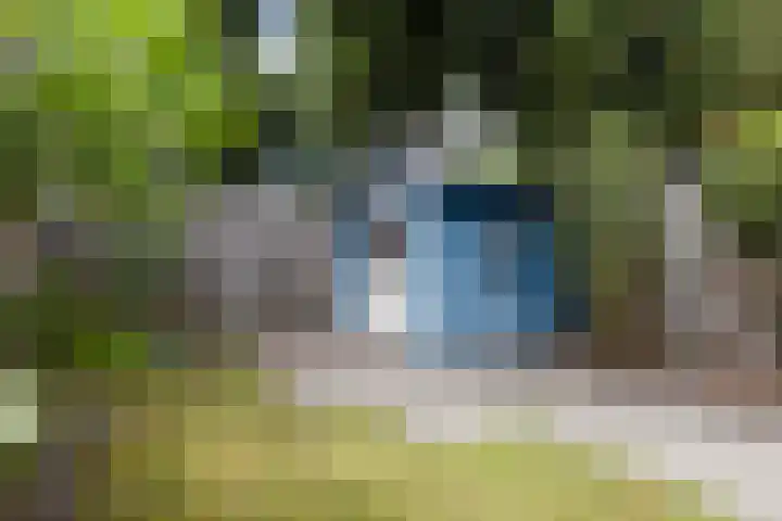 Muntersdonk 8 Apeldoorn thumbnail 31
