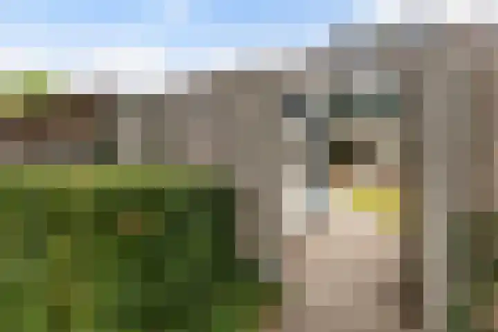 Muntersdonk 8 Apeldoorn thumbnail 32