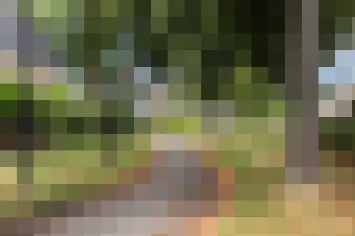 Muntersdonk 8 Apeldoorn thumbnail 33