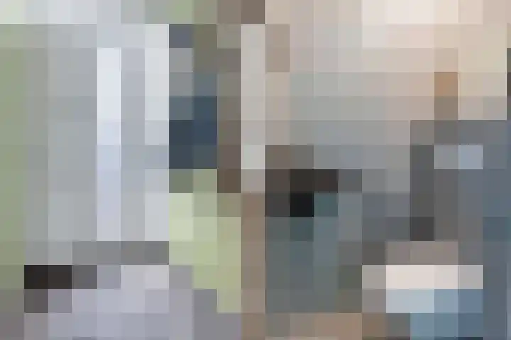 Muntersdonk 8 Apeldoorn thumbnail 4