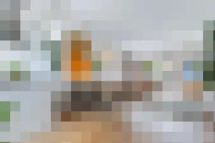 Muntersdonk 8 Apeldoorn thumbnail 5