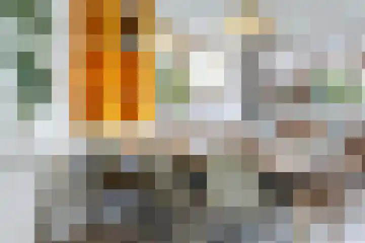 Muntersdonk 8 Apeldoorn thumbnail 6