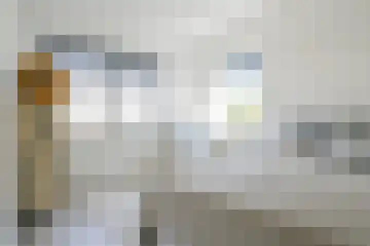 Muntersgoed 9 Putten thumbnail 18