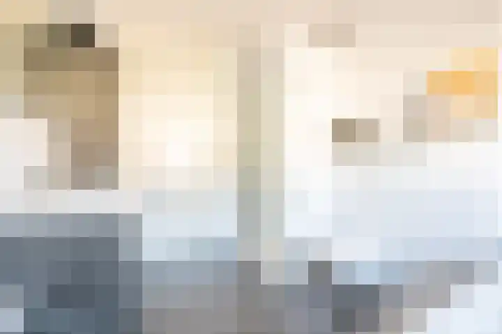 Muntersgoed 9 Putten thumbnail 21