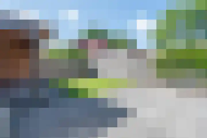 Muntersgoed 9 Putten thumbnail 38