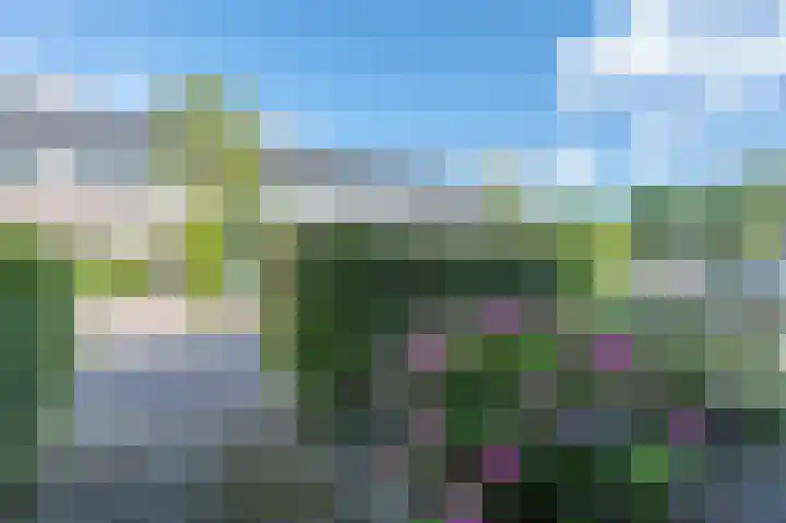 Muntersgoed 9 Putten thumbnail 43