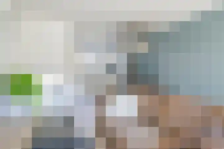 Muntersgoed 9 Putten thumbnail 6
