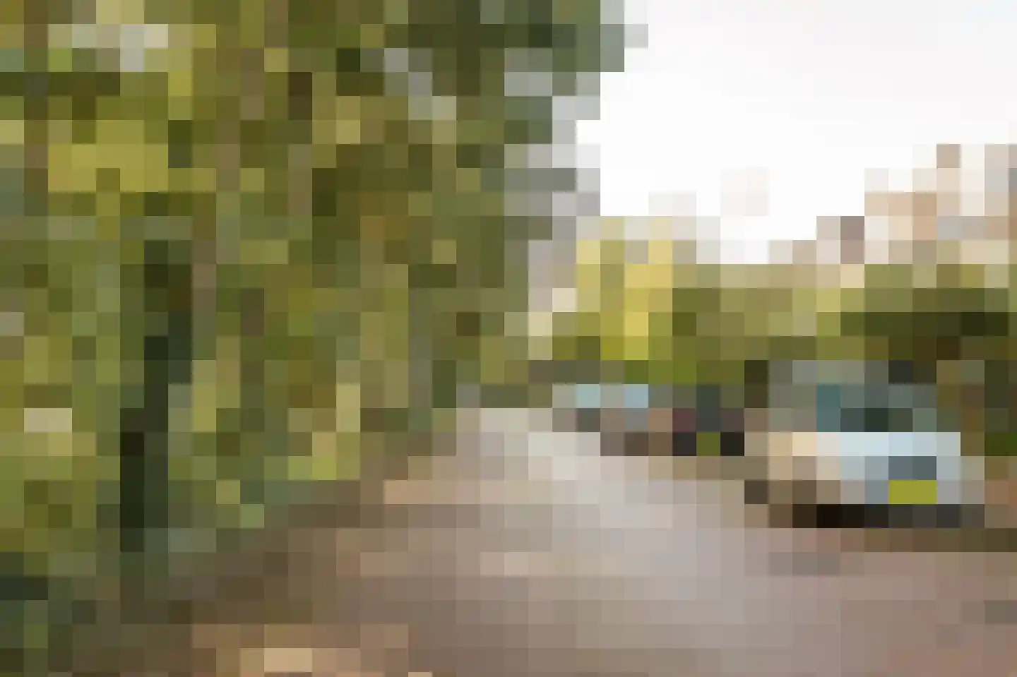 Munterslaan 11 Haarlem thumbnail 4