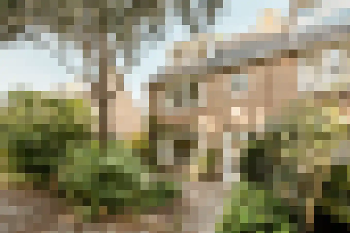 Munterslaan 11 Haarlem thumbnail 7