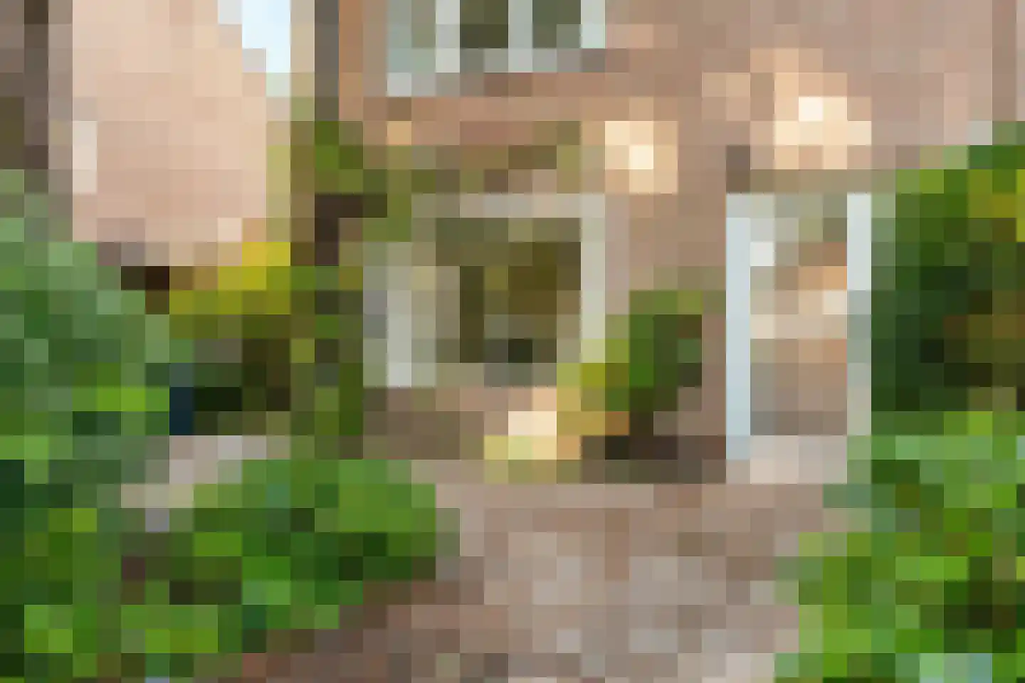 Munterslaan 11 Haarlem thumbnail 8